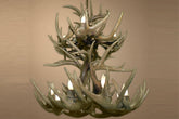 Antler Chandelier - 12 Light White Tail DeerAntler Chandelier - 12 Light White Tail Deer